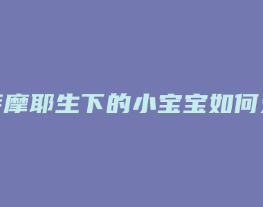 萨摩耶生下的小宝宝如何处理