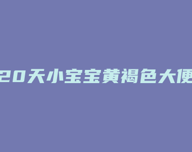 20天小宝宝黄褐色大便