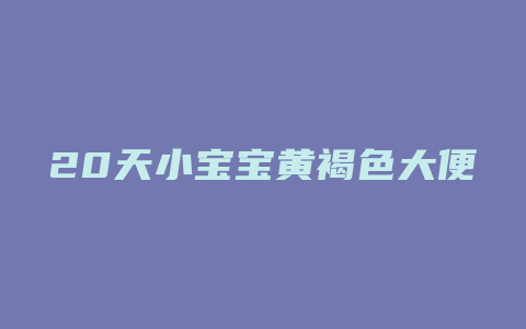 20天小宝宝黄褐色大便