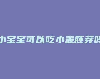 小宝宝可以吃小麦胚芽吗