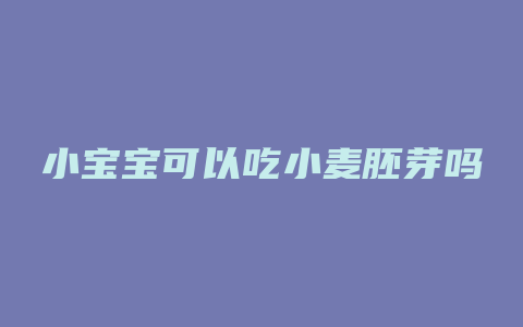 小宝宝可以吃小麦胚芽吗