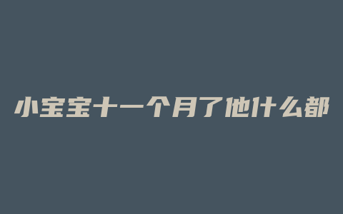 小宝宝十一个月了他什么都爱吃