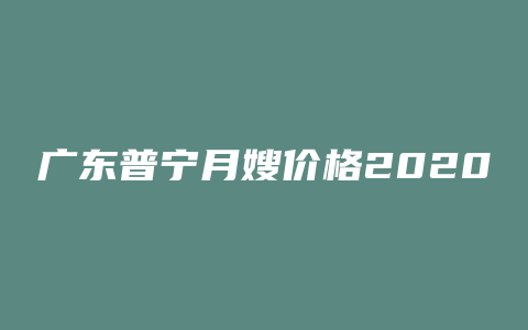 广东普宁月嫂价格2020