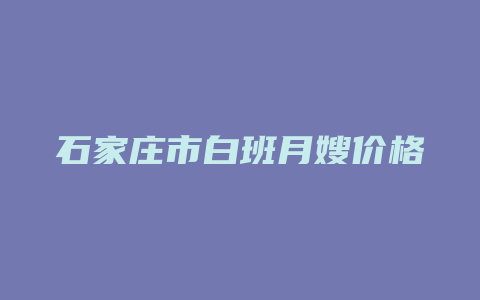 石家庄市白班月嫂价格