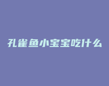 孔雀鱼小宝宝吃什么