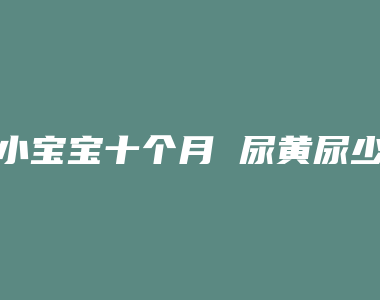 小宝宝十个月 尿黄尿少