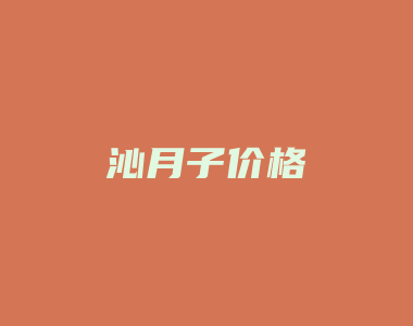 沁月子价格